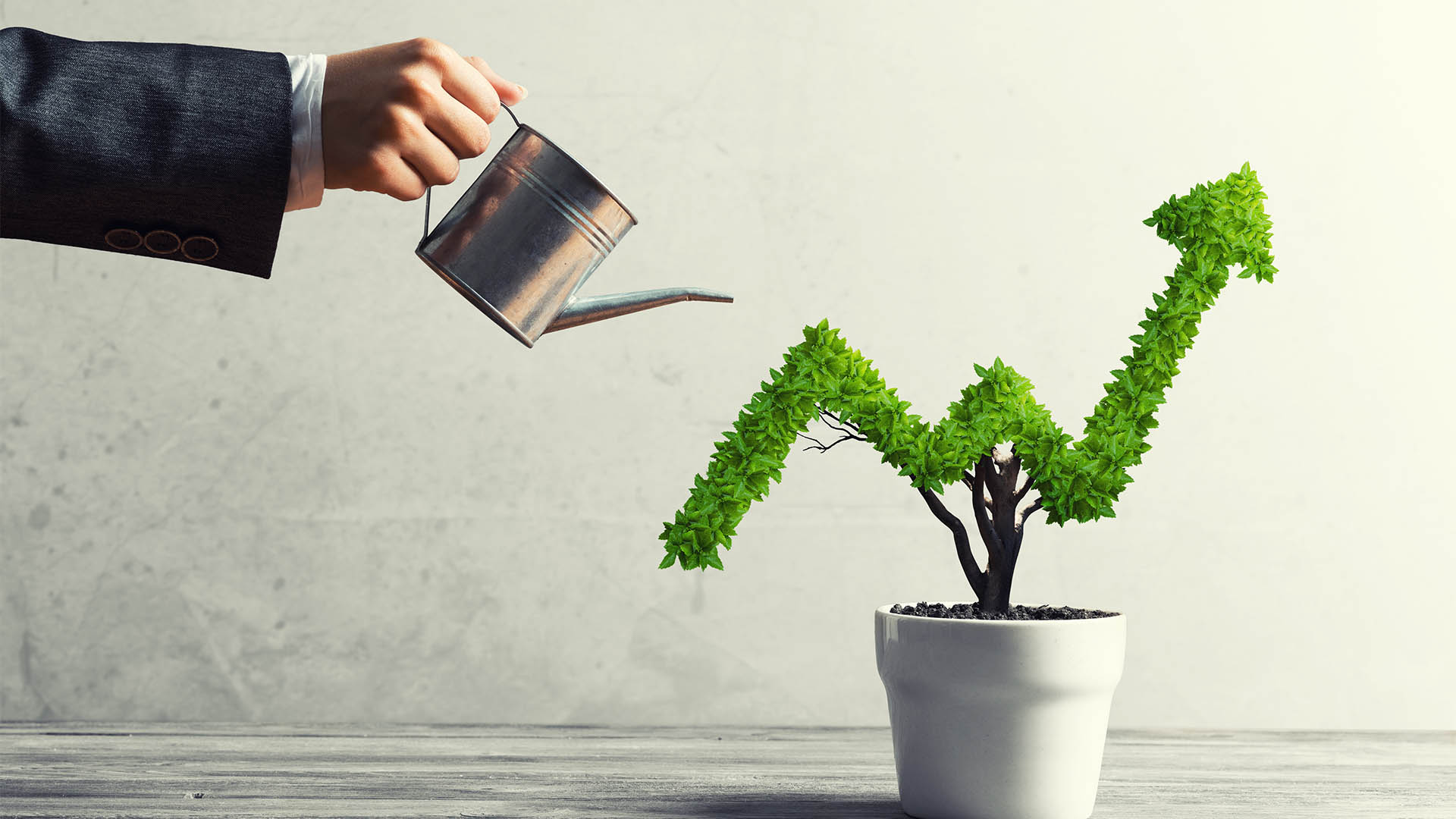 Argo Investments shows modest earnings lift ShareCafe