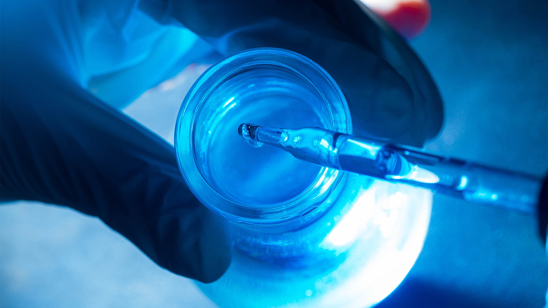 blue science test tube,Flask in scientist hand with drop of chemical liquid in test tube Science and medical research and development concepts.