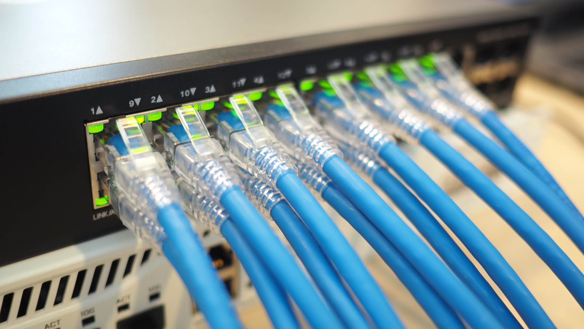 lan cable connected use for network product concept. closeup photo.