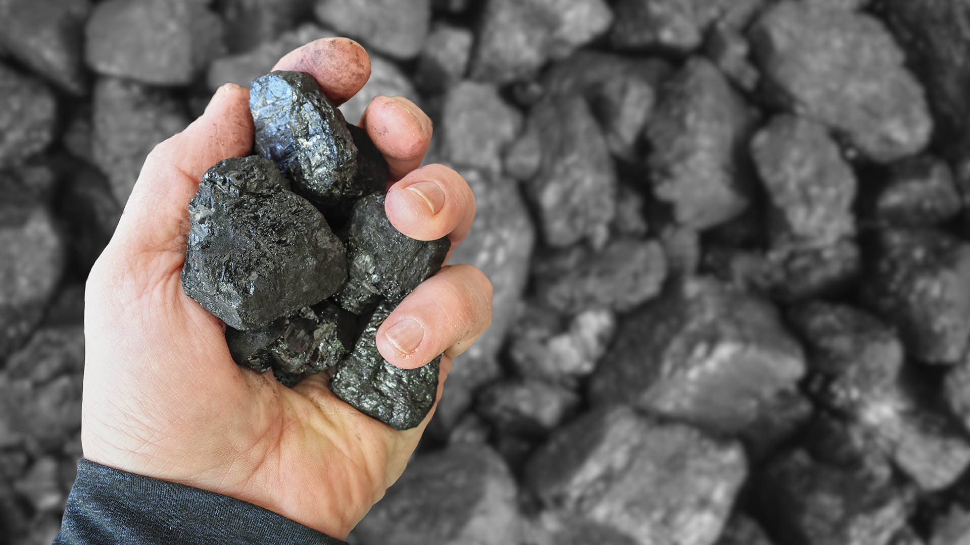 High quality, low ash, thermal Australian coal, which is exported mostly to Asia for energy and electricity generation. Held in hand.  Differential focus