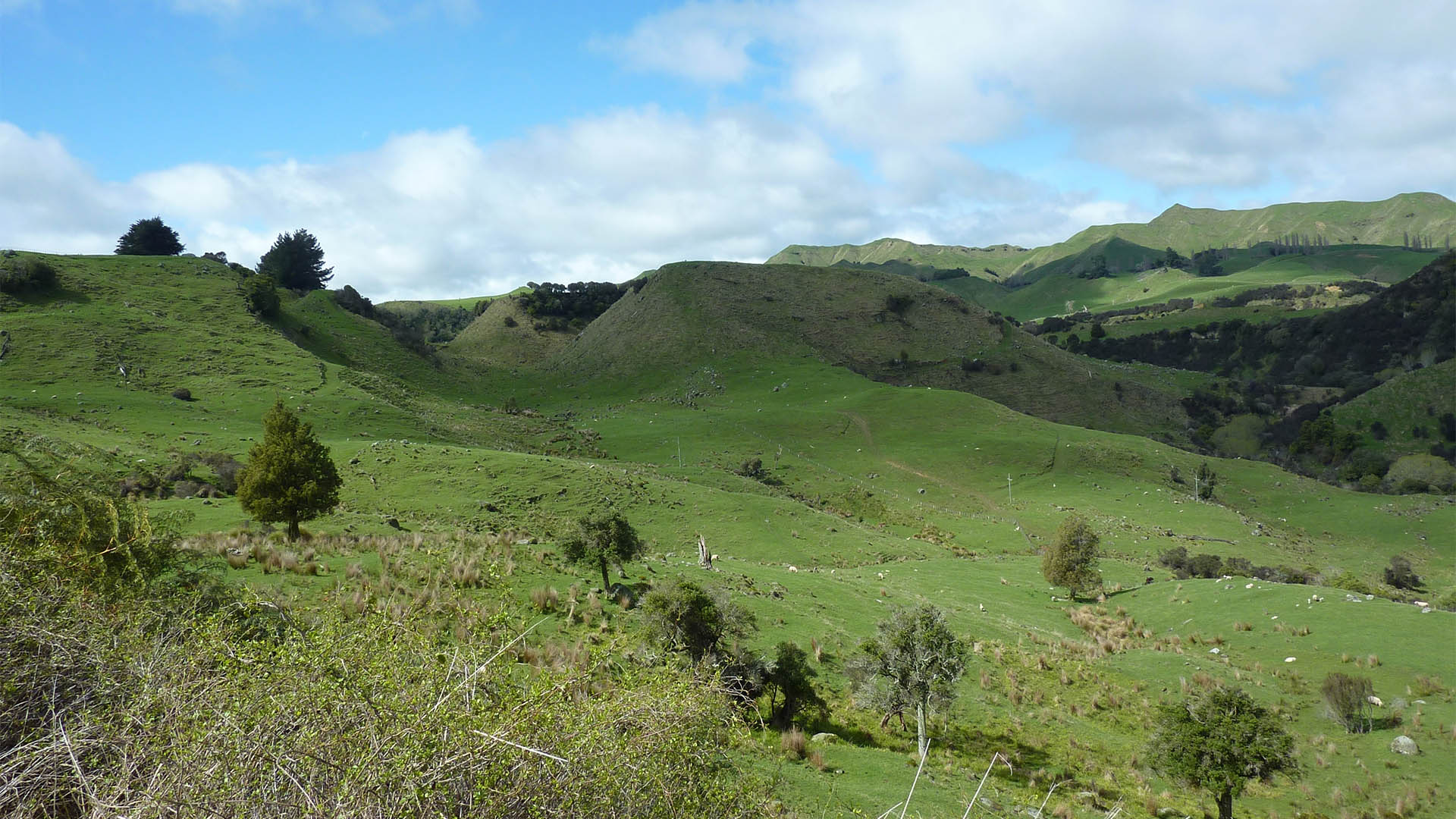 The beautiful landscape of New Zealand consists of for example, fjords, glacial lakes, green valleys, but also active volcanoes.