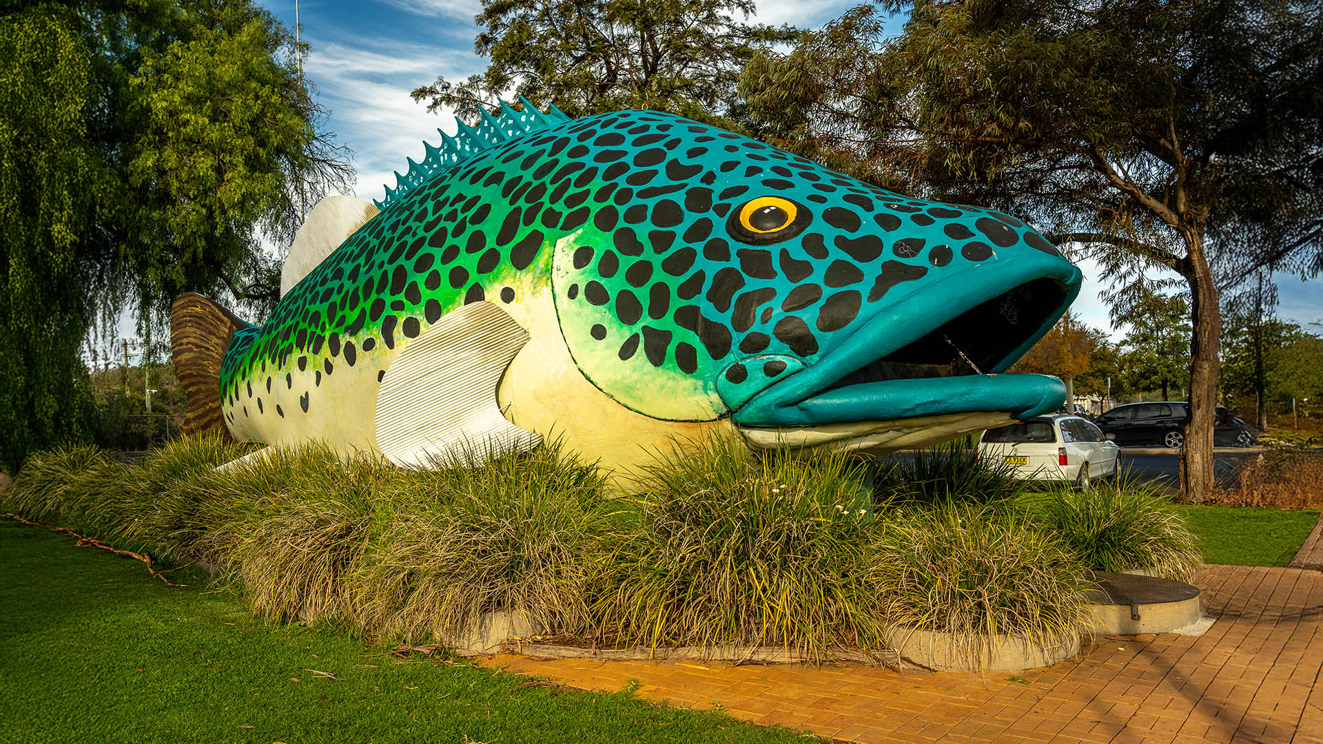 Swan Hill, Victoria, Australia - Jun 6, 2020: The giant Murray cod sculpture