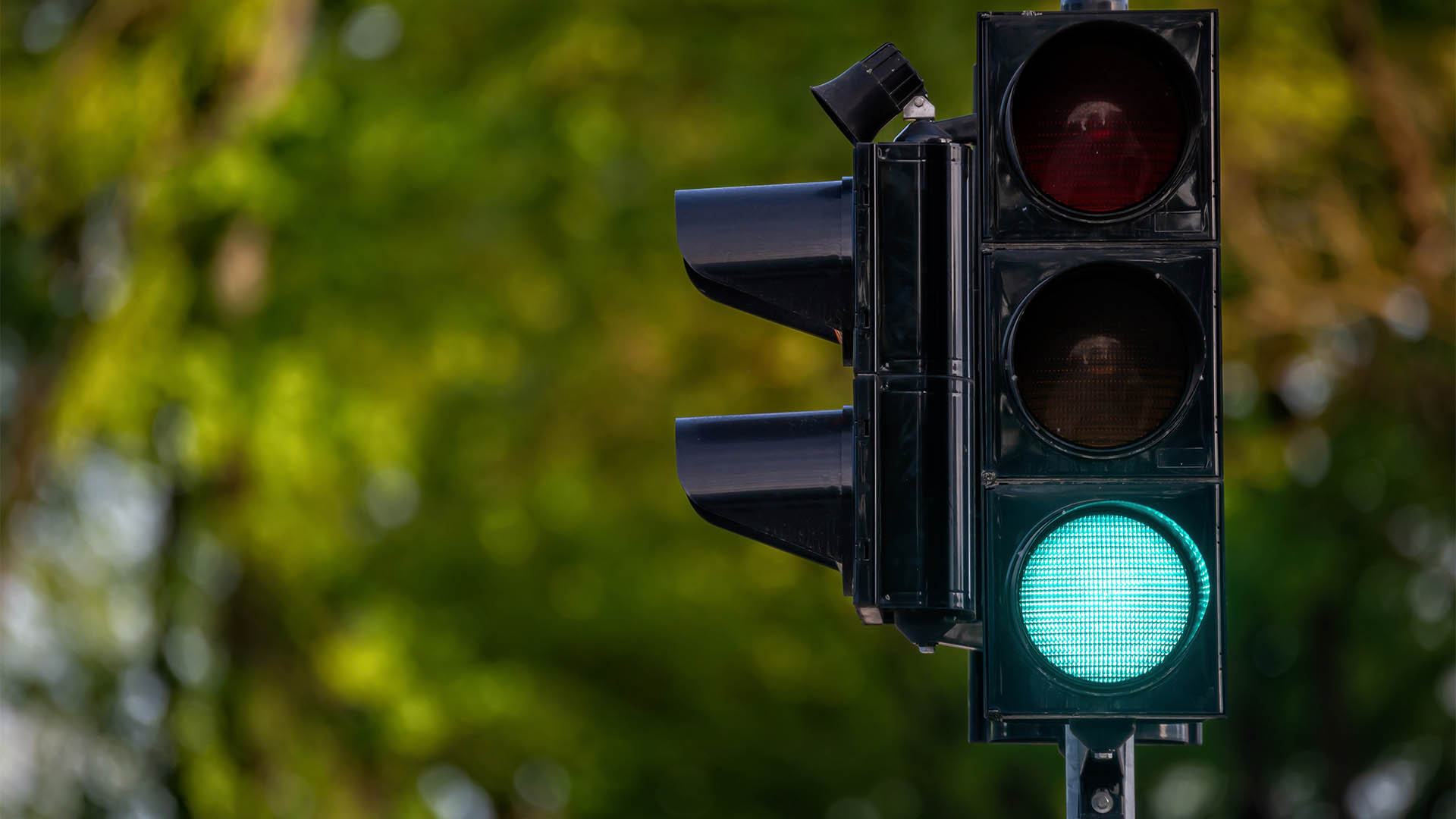 A green traffic light signaling go, with trees in the background. Shallow depth of feld