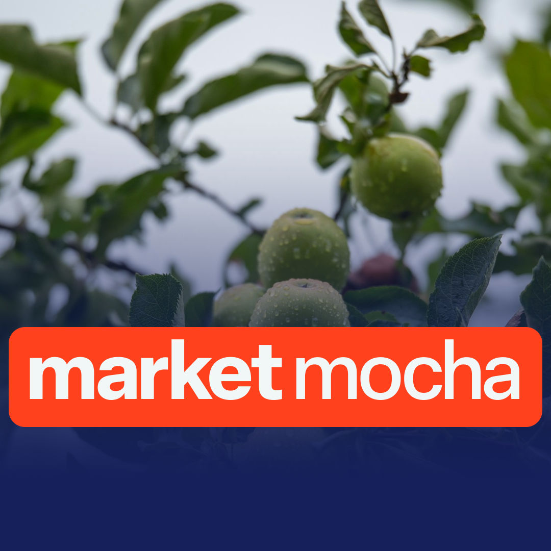 The Unexpected Joy of a Rainy Day