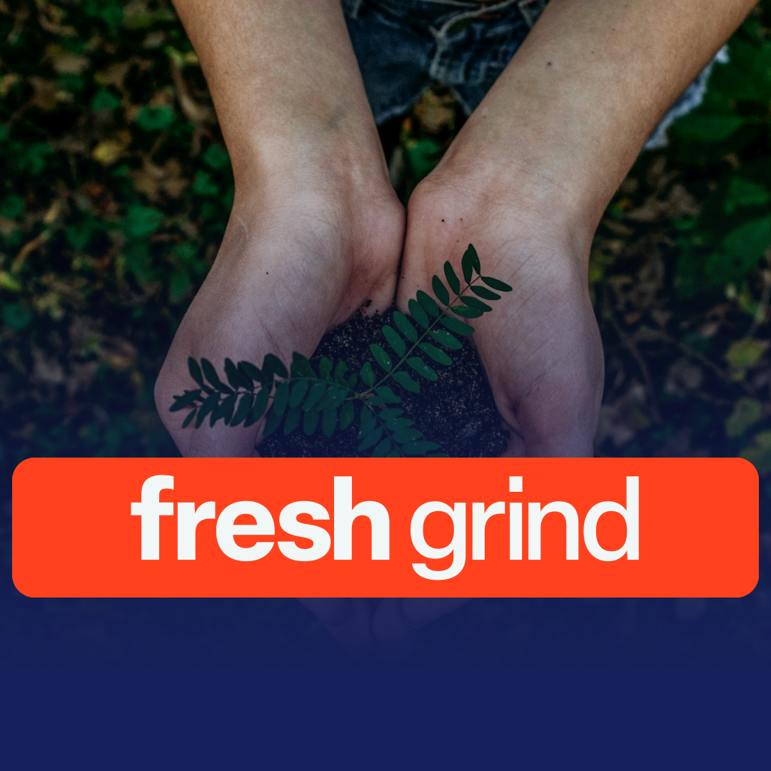 Khaleesi Project Exploration Progresses