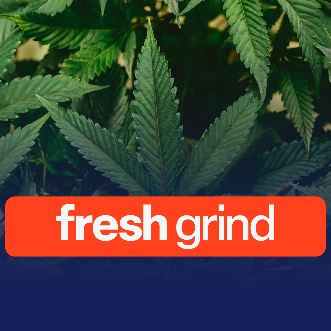 Neurotech partners with RH Pharma for cannabinoid therapy development