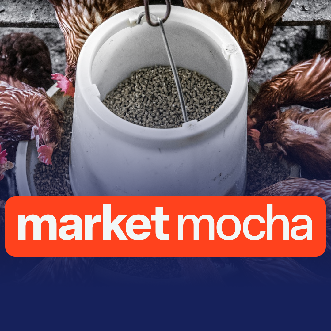 Ingham’s Appoints Easton as New Zealand CEO