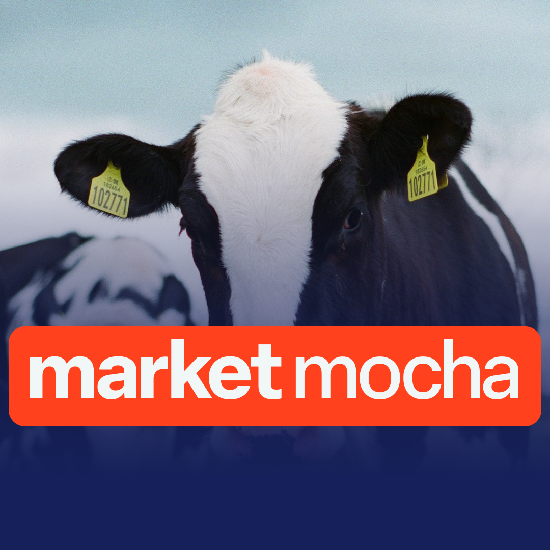 Synlait appoints Richard Wyeth as new CEO