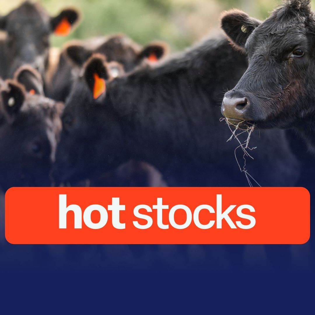 Hot Stocks: WiseTech, Elders, Genesis