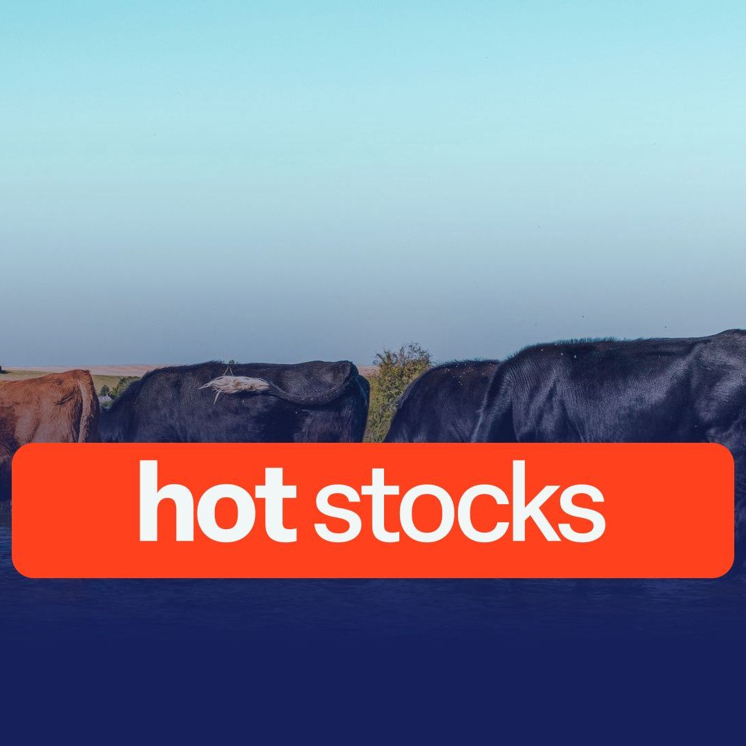 Hot Stocks: Australian Agricultural Company, Fenix Resources, Island Pharmaceuticals