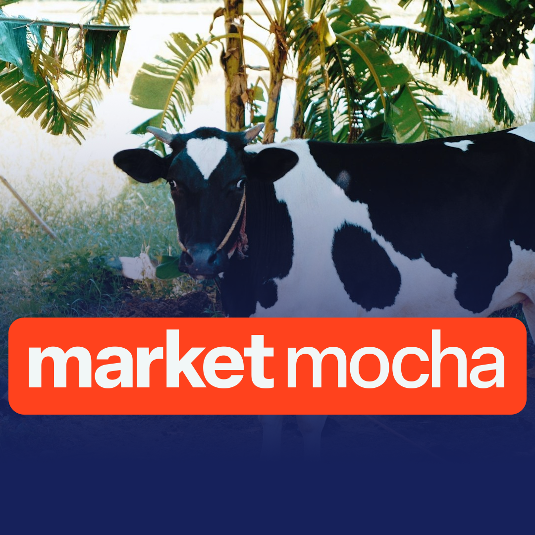 AAco Warns of Earnings Hit From Floods