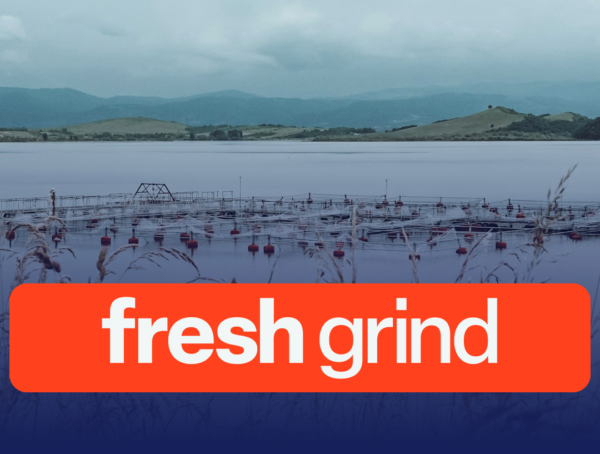 New Zealand King Salmon Boosts FY26 Earnings Guidance on Strong Summer ...